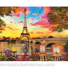 Springbok Paris Sunset 1000 Piece Jigsaw Puzzle B077NRDQK1